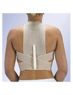 Orliman Espaldera Transpirable Reforzada Talla 3, 1 Ud