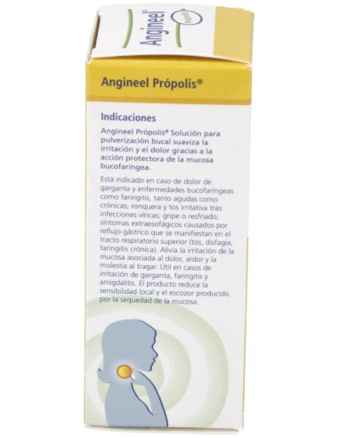 Heel Angineel Própolis Spray, 20 Ml