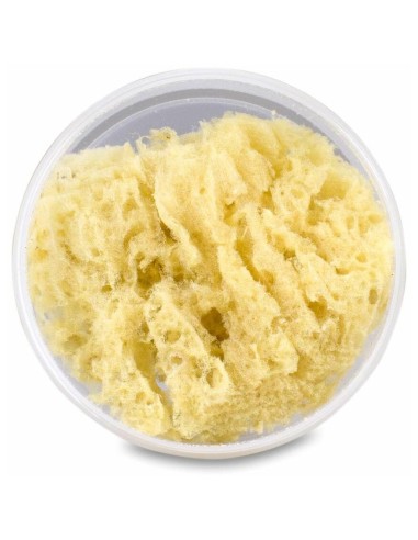Suavinex Esponja Natural Canastilla, 1 Ud