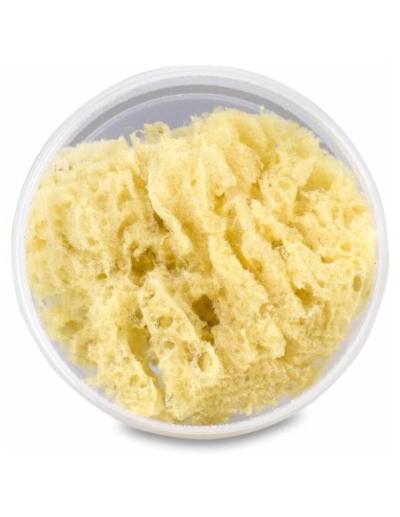 Suavinex Esponja Natural Canastilla, 1 Ud