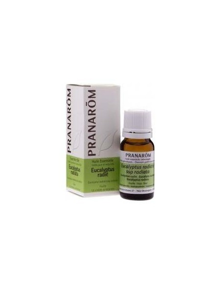 Pranarôm Aceite Esencial De Eucalipto Radiata 10Ml