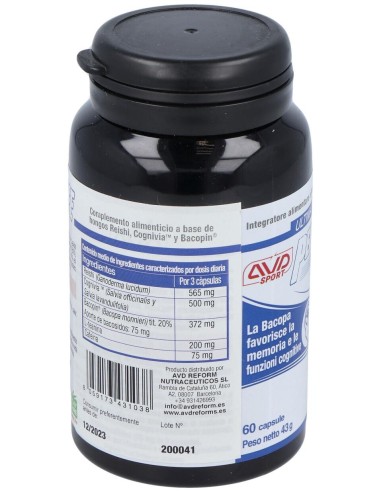 Performance Brain 60Cap.