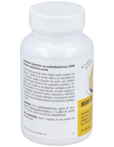 Raab Vitalfood Msm Con Vitamina C 90Caps