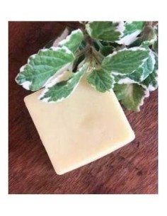 Nitx Acondicionador Sólido Cabello Fino 55G