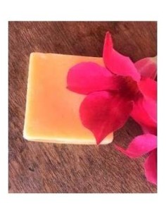 Nitx Acondicionador Solido Antifrizz 55G