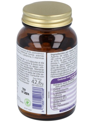 Dietisa Mega Ginkgo Complex 60Cáps