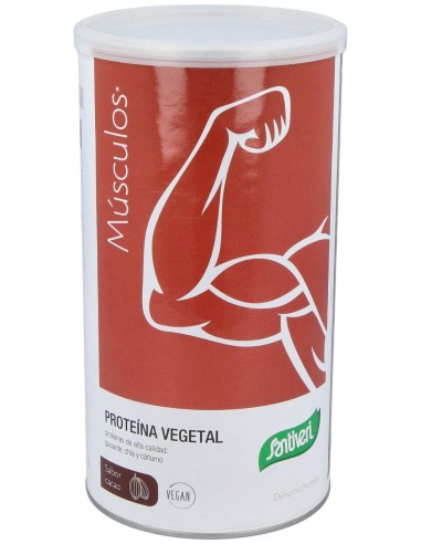 Dynamic Proteina Vegetal Cacao 455Gr.