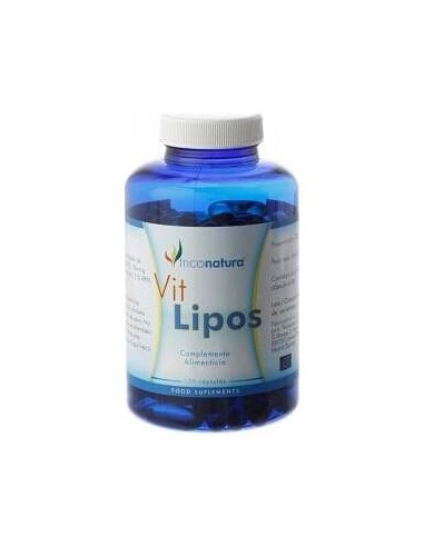 Ginkgo Biloba Infusion 25Bolsitas