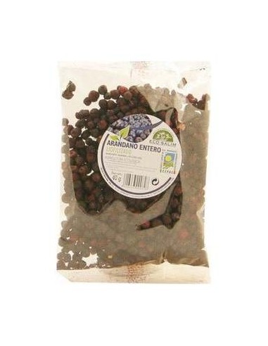Int-Salim Arandano Nego Liofilizado Eco 40G