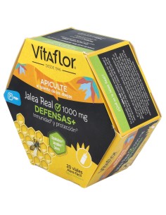 Vitaflor Defensas Echinacea 20Viales 2