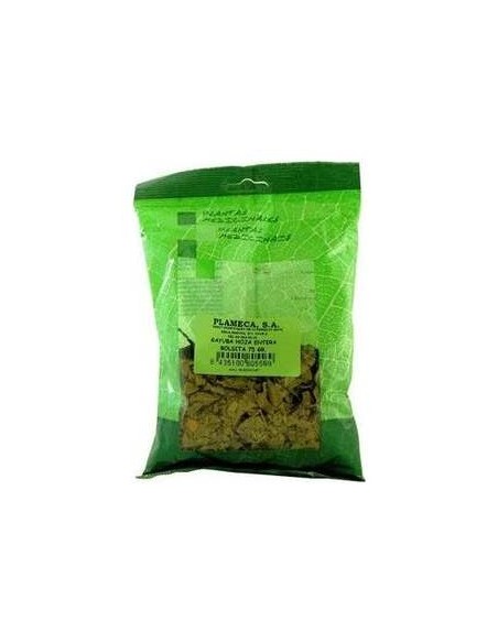 Gayuba Hoja Entera Bolsa 75Gr.