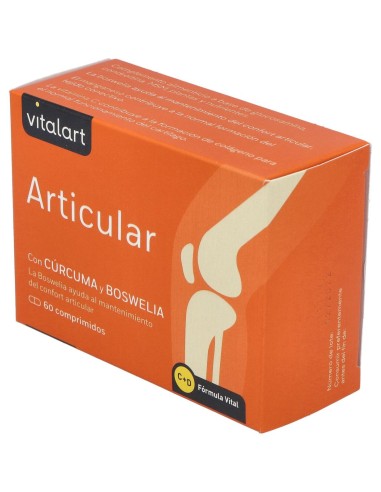 Vitalart Articular 60Comp.