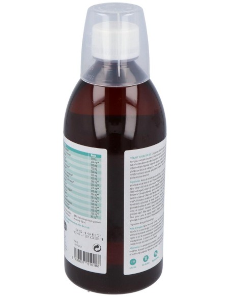 Vitalart Depurativo Bio-Detox Eco 500Ml