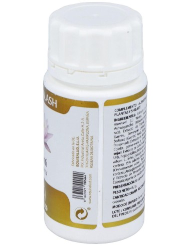 Yoga Kalash Shanti Paz Mental 60Cap.