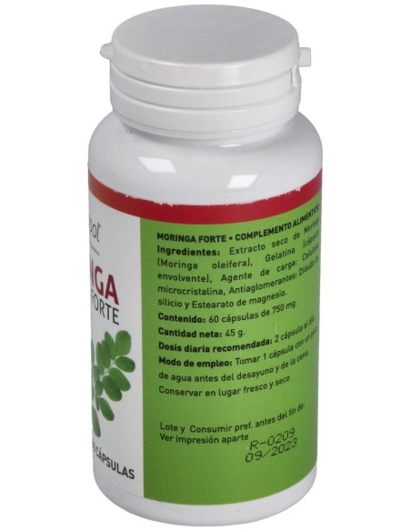 Moringa Forte Plantapol 60 Cápsulas