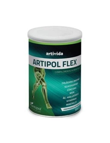 Artipol Flex Bote 300Gr.