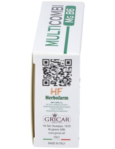 Herbofarm Multicombi Mg B6 30Comp.