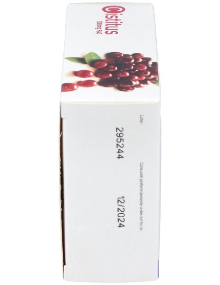 Vichy Dermablend Fijador En Polvo 28G
