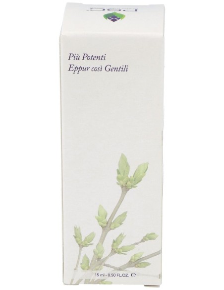 Psc Ginkgo Biloba 15Ml.