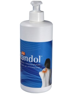 Silandol Gel 500Ml. 2