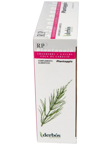 Derbós Plantaggio Rp 20 Ampollas