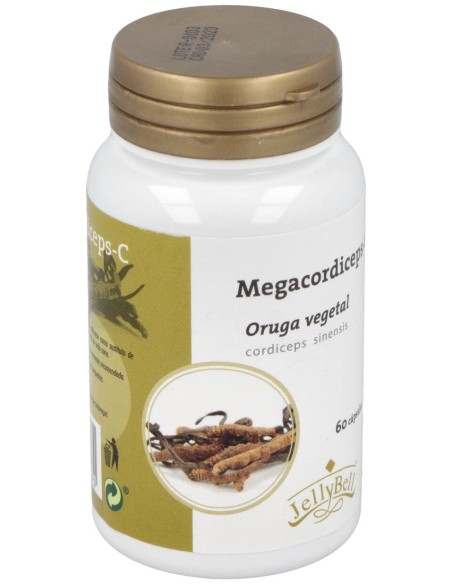 Megacordiceps C (Oruga Vegetal) 60Cap.