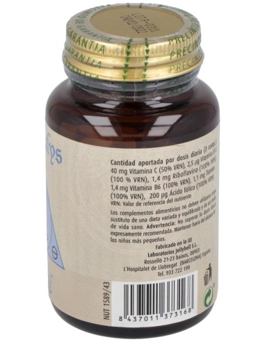Jellybell Sal Salys Cap N2 90Comp