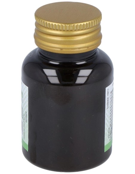 Carbon Vegetal 100Comp.