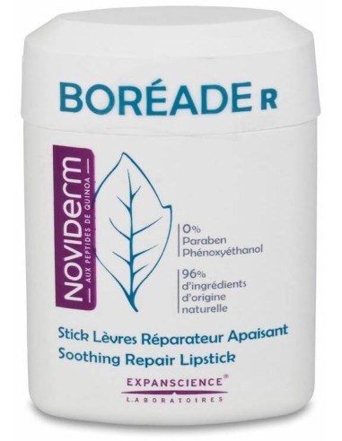 Boréade R Stick Reparador, 11 Ml