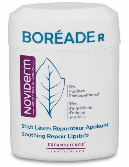 Boréade R Stick Reparador, 11 Ml