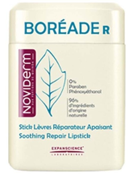 Boréade R Stick Reparador, 11 Ml