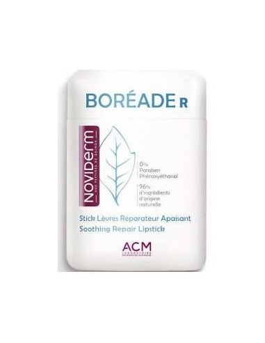 Boréade R Stick Reparador, 11 Ml