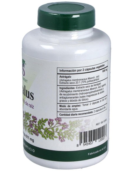 Vbyotics Astragalus Extracto Estandarizado Raíz 120Caps