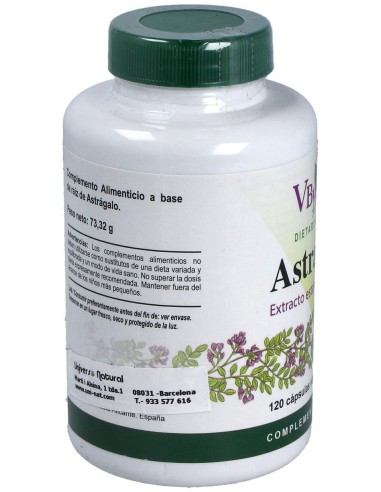 Vbyotics Astragalus Extracto Estandarizado Raíz 120Caps