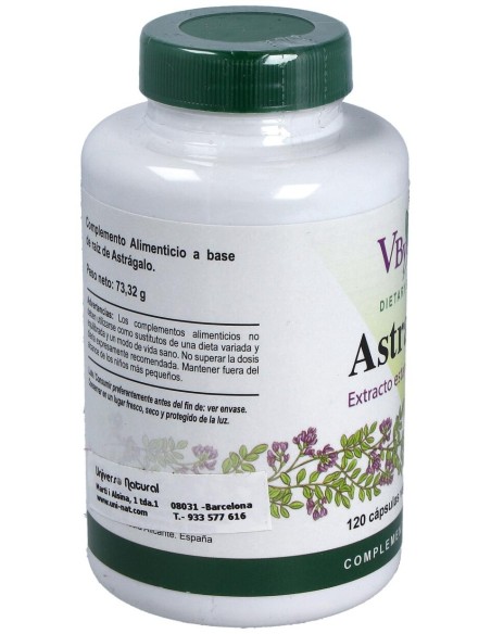 Vbyotics Astragalus Extracto Estandarizado Raíz 120Caps