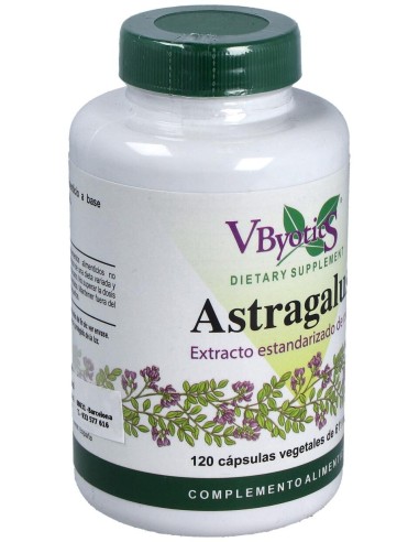 Vbyotics Astragalus Extracto Estandarizado Raíz 120Caps