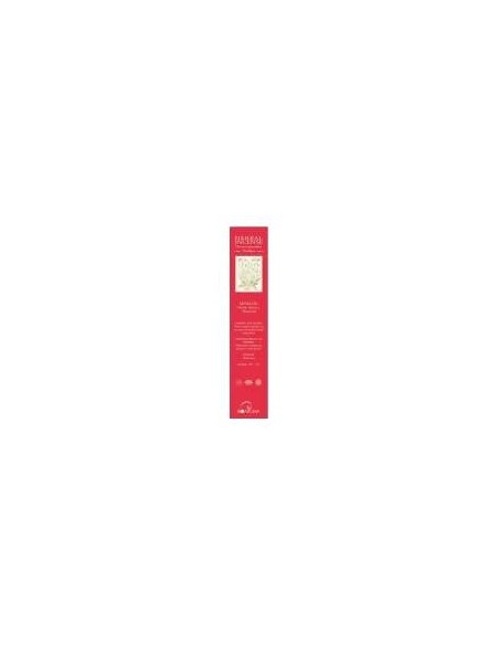 Ergonat Galenic Zarzaparrilla Ergosphere 45Caps