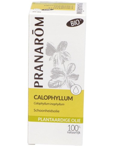 Pranarôm Bio Aceite Vegetal Calófilo 50Ml