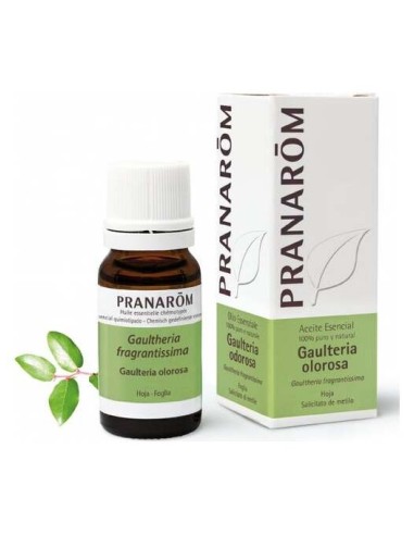 Gaulteria Olorosa Hoja Aceite Esencial Bio 10Ml.