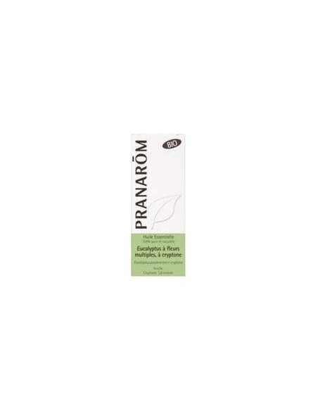 Pranarôm Aceite Esencial Eucalipto Flores Criptona Bio*10Ml