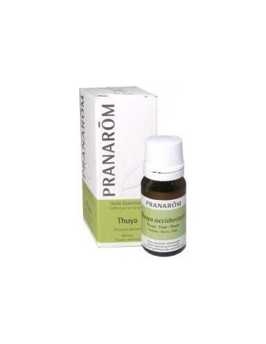 Thuya Occidentalis Aceite Esencial 10Ml.