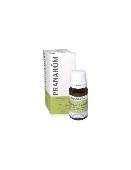 Thuya Occidentalis Aceite Esencial 10Ml.