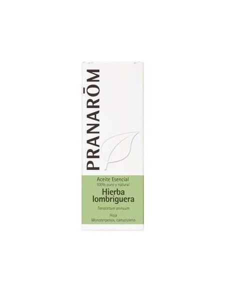 Hierba Lombriguera (Tanacetum) Aceite Esencial 5Ml