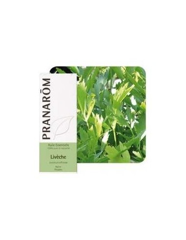 Pranarôm Aceite Esencial De Levístico 5Ml