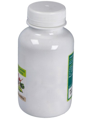 Sotya Café Verde + Garcinia + Chitosán + Cromo 650Mg 90Cáps