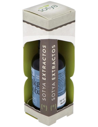 Extracto Ginkgo Biloba 50Ml.