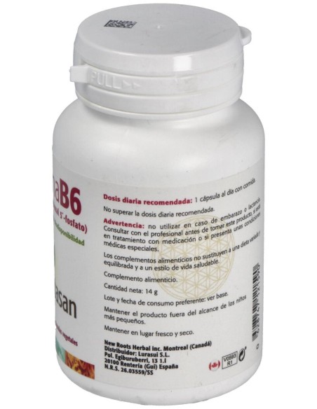 Vitamina B6 60Cap.