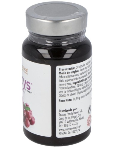 Mundo Natural Neocys® 30 Cápsulas