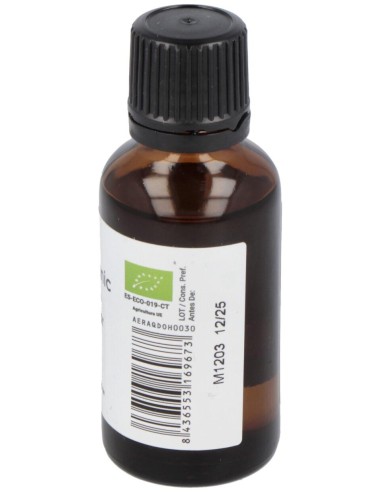 Terpenic Aceite Esencial Romero Alcanfor 30Ml