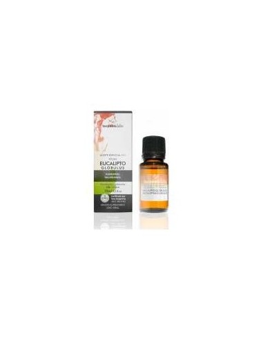 Terpenic Aceite Esencial Eucaliptus Globulus 10Ml